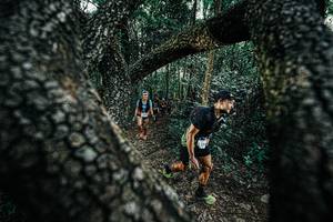 BIB: 
                            <button type="button" onclick="openModal(25391990)" class="btn btn-primary btn-sm float-right btn-popup" data-toggle="modal" data-target=".modal-high-quality">
                        <i class="fas fa-shopping-cart"></i> Add to Cart
                    </button>
                                            <button type="button" onclick="isThisMe(25391990, true)" class="btn btn-success btn-sm float-right btn-popup btn-isme hidden" data-toggle="tooltip" data-placement="bottom" title="นี่คือรูปของคุณใช่ไหม คลิกที่นี่เพื่อเอาเข้าอัลบั้ม">
                        <i class="fas fa-plus"></i> Add to album
                    </button>
                    <button type="button" onclick="isThisMe(25391990, false)" class="btn btn-warning btn-sm float-right btn-popup btn-isnotme hidden">
                        <i class="fas fa-ban"></i> Remove from album
                    </button>